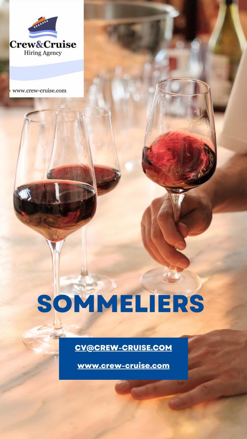 sommelier jobs in cruises